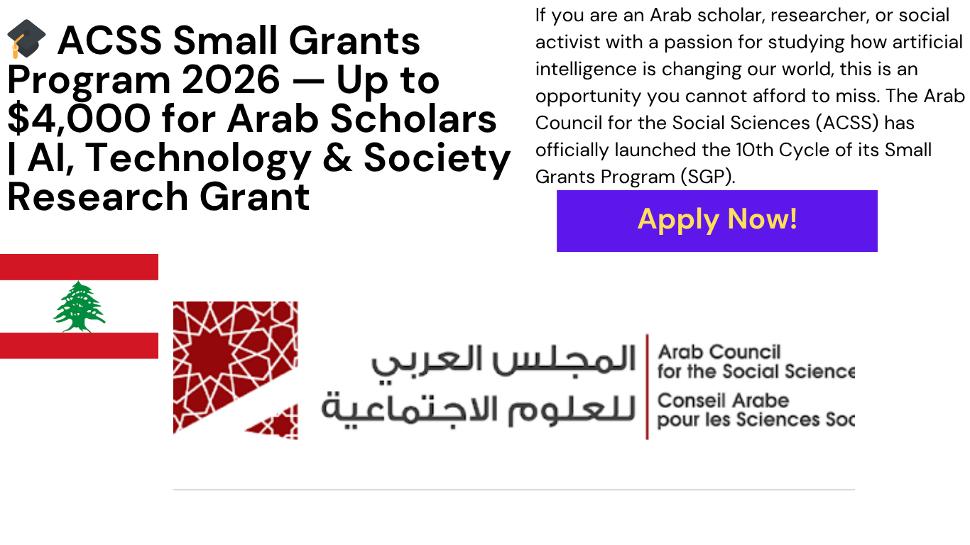 ACSS Small Grants Program 2026 AI Research