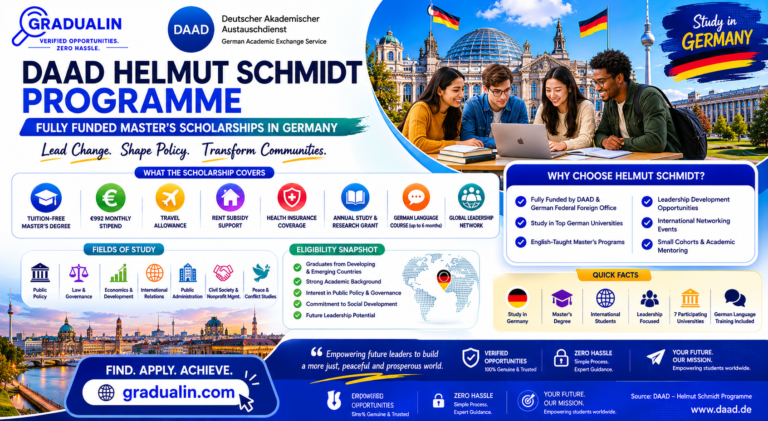 DAAD Helmut Schmidt Scholarship 2027